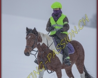 SEMSALES - 0386